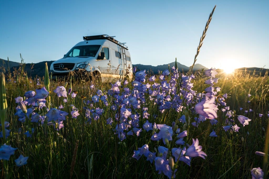 bearfoot-theory-van-18