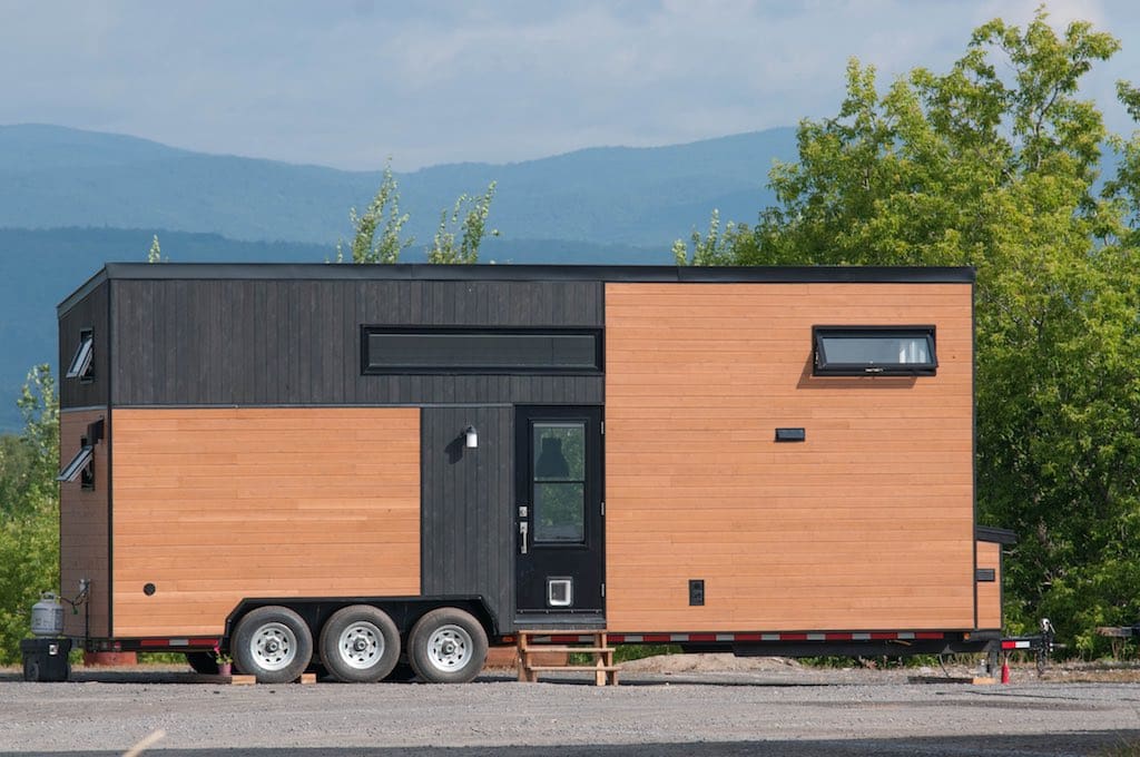 Eucalyptus minimaliste 1