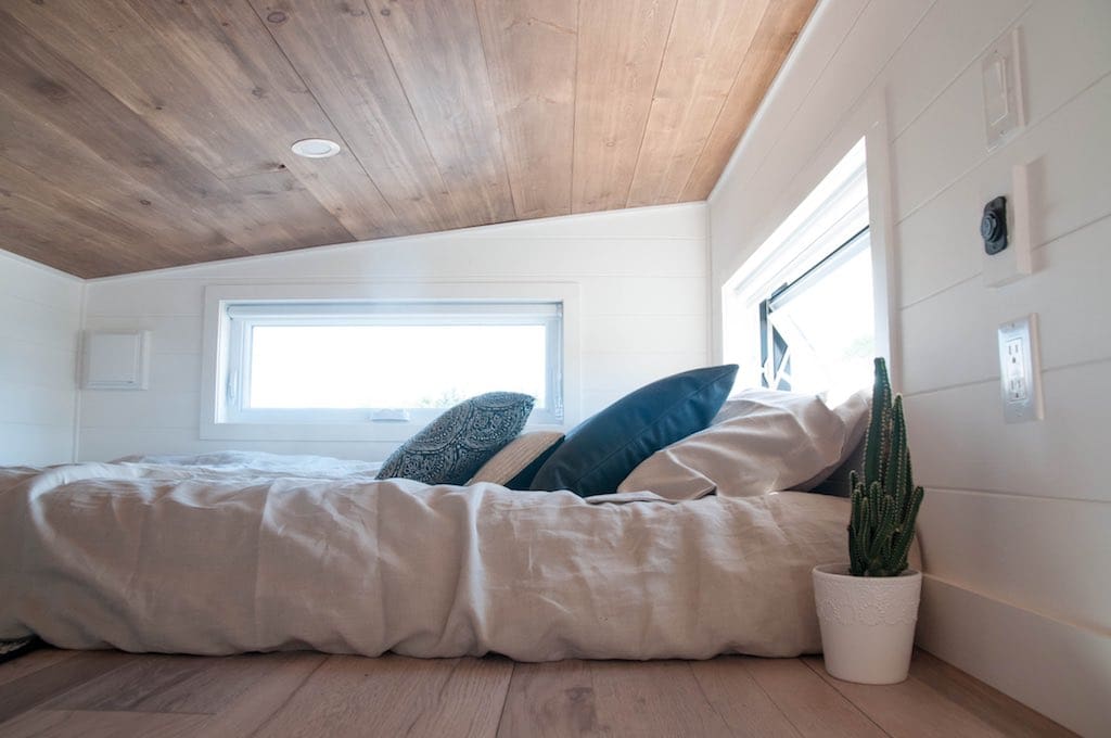 Eucalyptus minimaliste 10