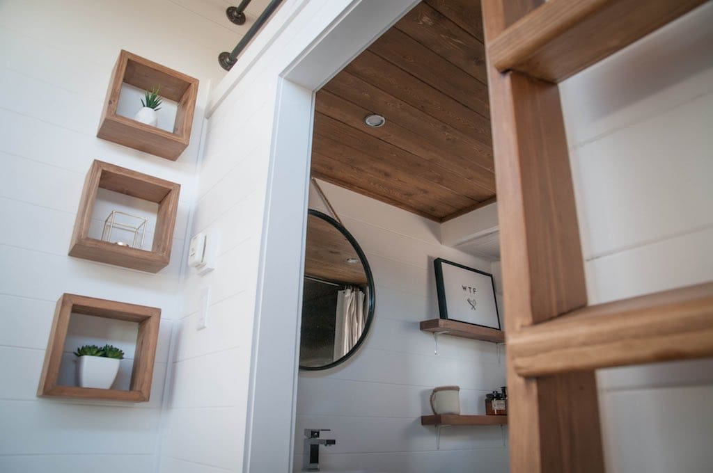 Eucalyptus minimaliste 13