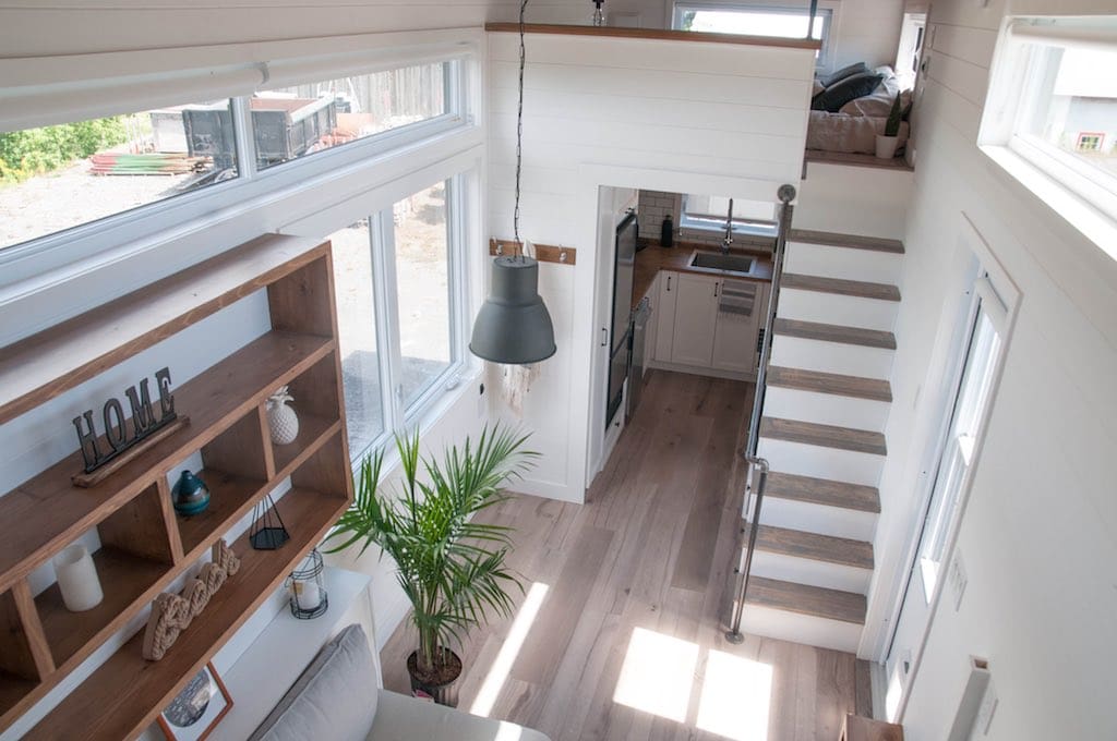 Eucalyptus minimaliste 18