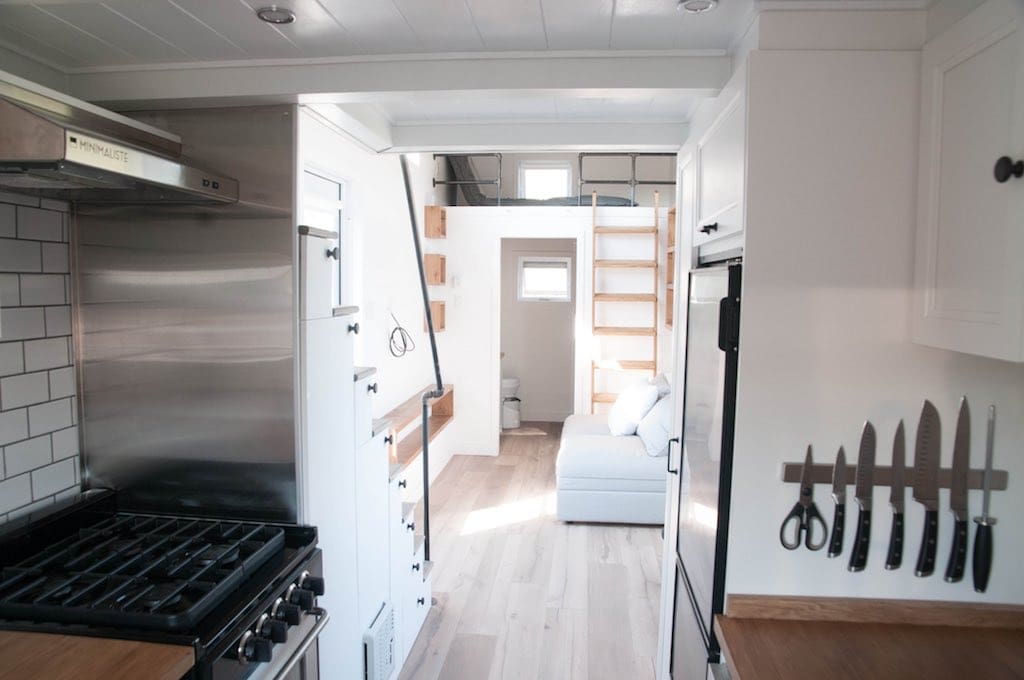 Eucalyptus minimaliste 5