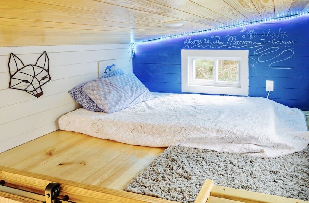 Charlestonian Dream 2 charlestonian dream 10