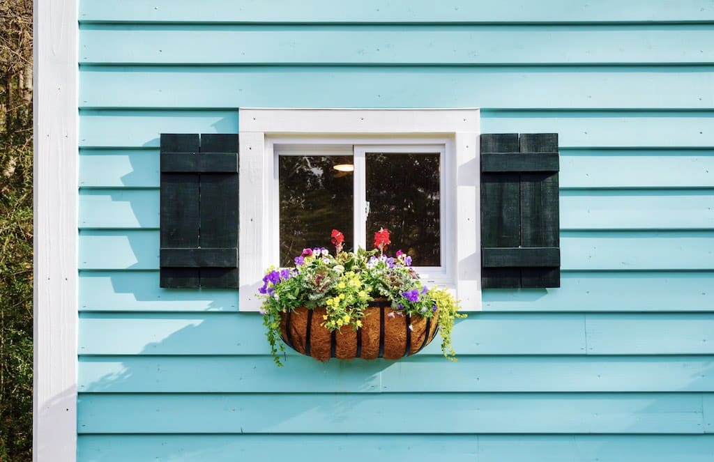 charlestonian dream 3