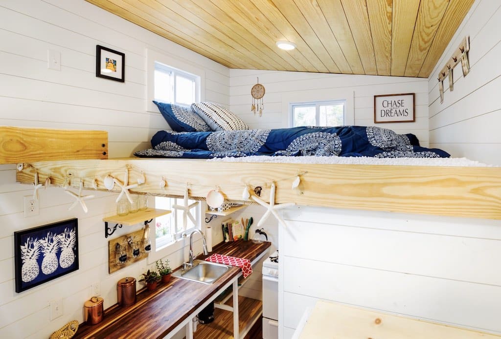 charlestonian dream 8