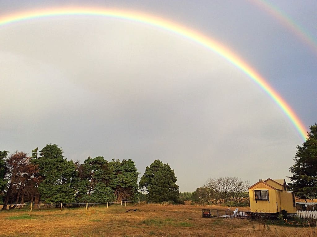 The Mustard Yellow House 1 the mustard yellow house 10