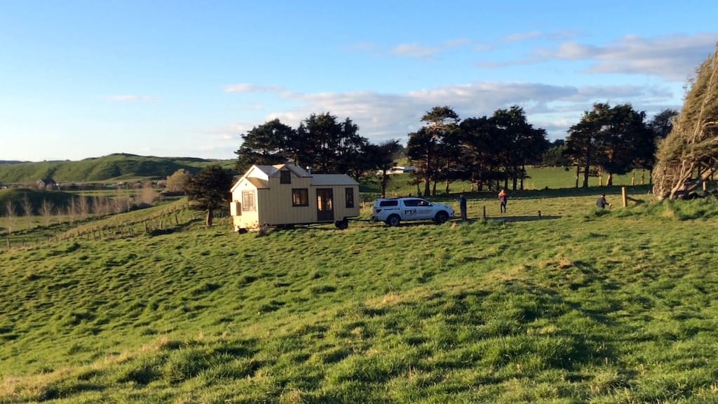 The Mustard Yellow House 4 the mustard yellow house 13