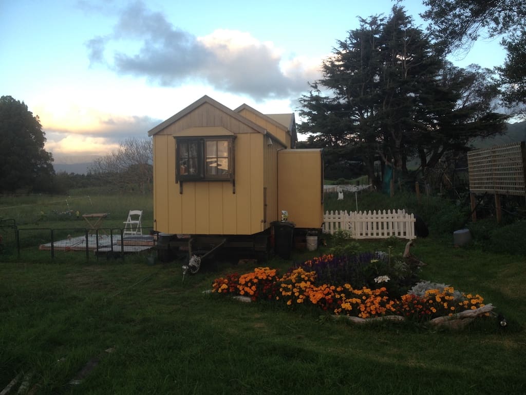 The Mustard Yellow House 5 the mustard yellow house 14