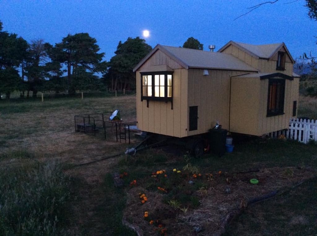 The Mustard Yellow House 6 the mustard yellow house 15