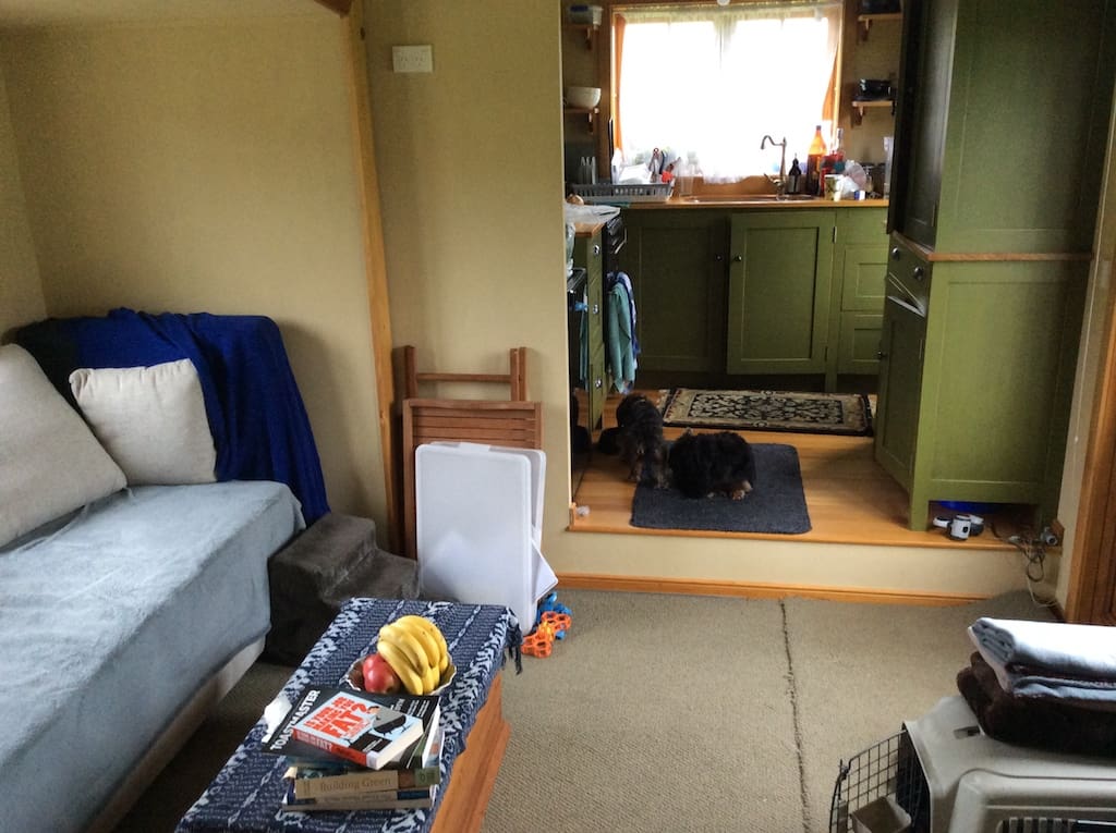 the mustard yellow house 7