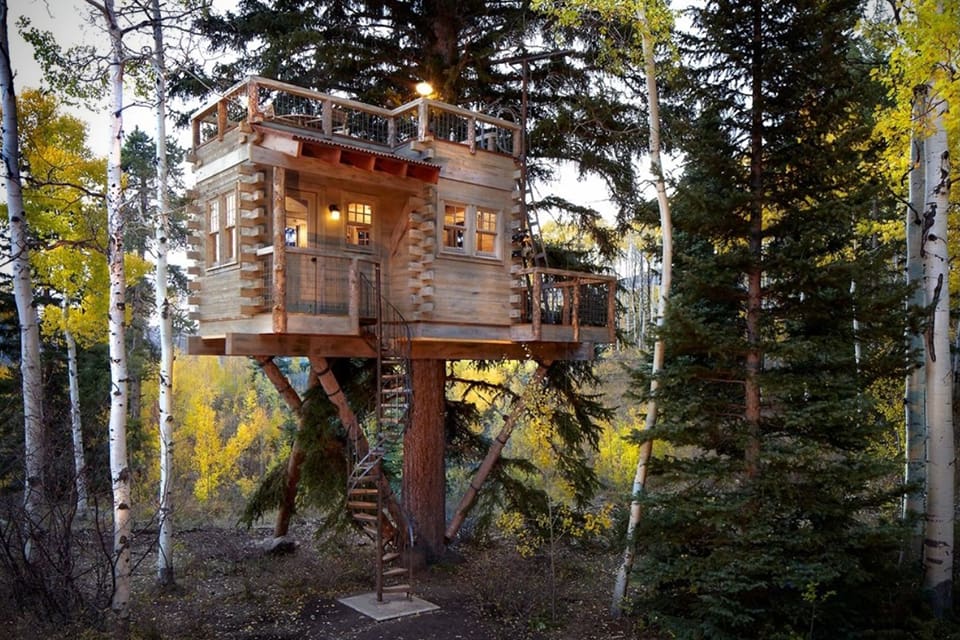 19 Treehouse Designs That Will Make You Want to Move-In 1 There are treehouses designed for every taste and budget, from simple and rustic to modern and luxurious. Here are 19 extraordinary treehouse designs you never knew existed.