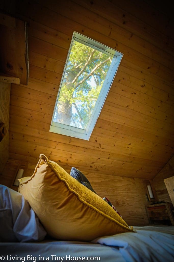 Treehouse Living With The Masters 9 TREEHOUSE SKYLIGHT