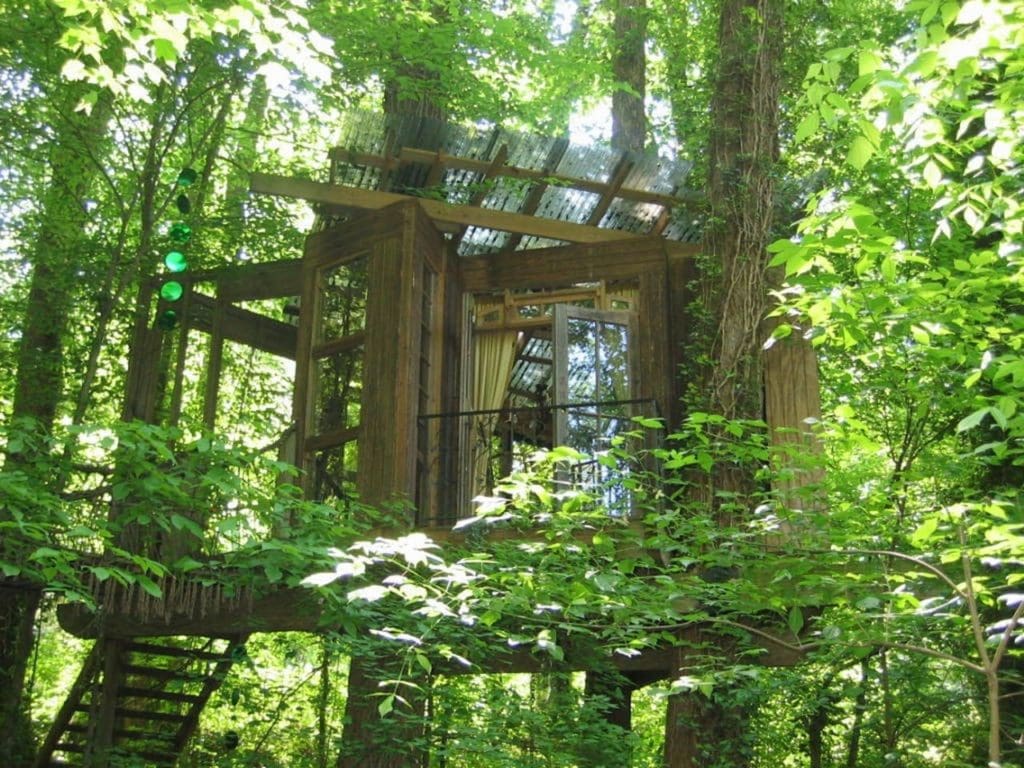 This Secluded Intown Treehouse Is Getting A Lot Of Attention 1 782e4200 cd3d 4076 910a 8707722eb745