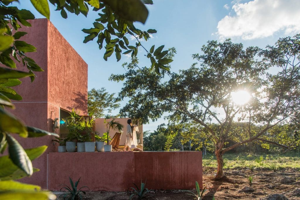 This Pink Tiny House in Mexico Is a Millennials Dream Come True 1 The architects wanted it to be raised off the ground to discourage wild animals from entering.
