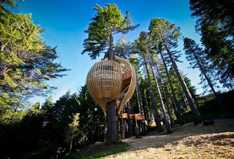 This Treehouse Is A Popular Restaurant In New Zealand 1 Redwoods Yellow Treehouse 1