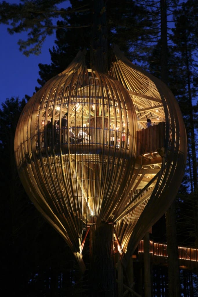 This Treehouse Is A Popular Restaurant In New Zealand 6 Redwoods Yellow Treehouse 7 683x1024 1
