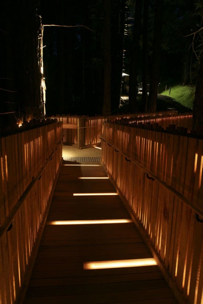 This Treehouse Is A Popular Restaurant In New Zealand 8 Redwoods Yellow Treehouse 9 682x1024 1