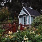 tiny honeysuckle house