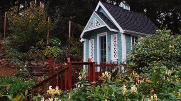 tiny honeysuckle house