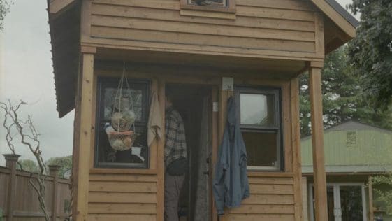 Tiny House Daily Life 7 tiny house rowdy kittens 1