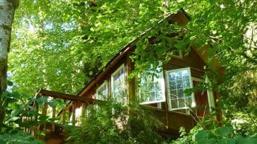 2 tiny cabin sideview