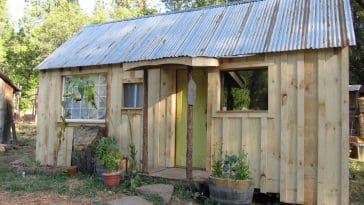 1 dell artemis farm cabin