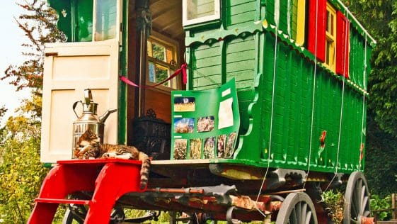 Gypsy Life 1 wagon
