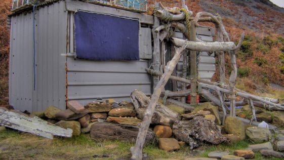 driftwood shack