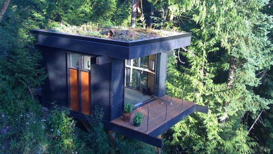 forest edge cabin 1