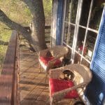 san fran and DIY show pix 138