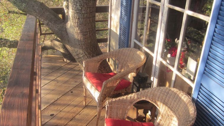 san fran and DIY show pix 138