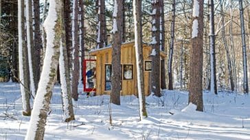 shack in the woods 1