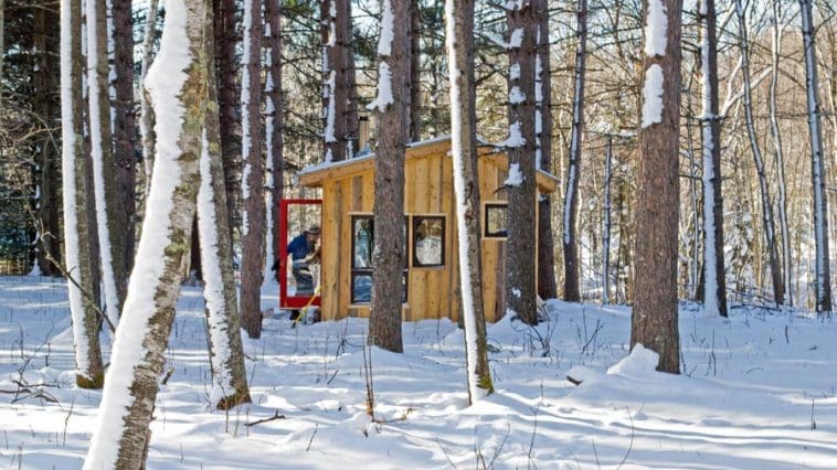 shack in the woods 1