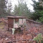 tiny house remodel 6