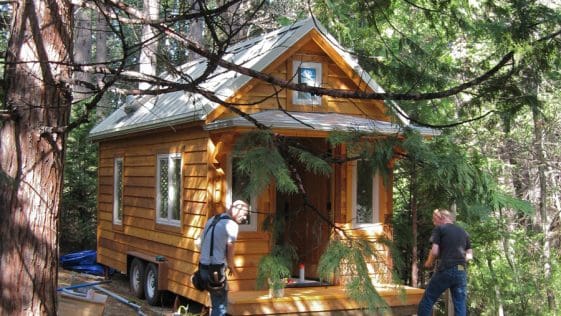 Micro Palace 6 mp 4848