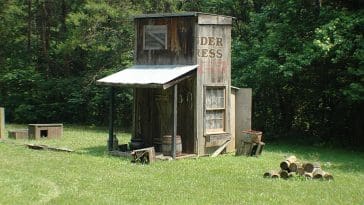 tiny mountain homestead 1