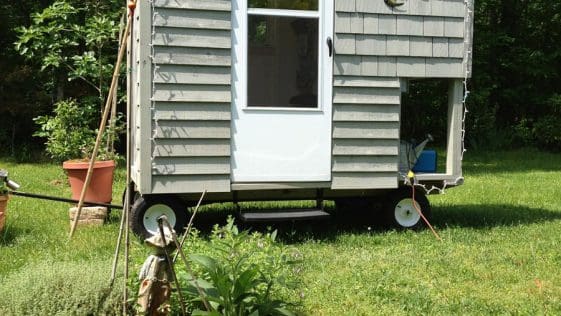 henrietta 11