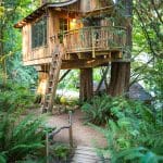 treehouse point 1