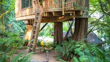 treehouse point 1