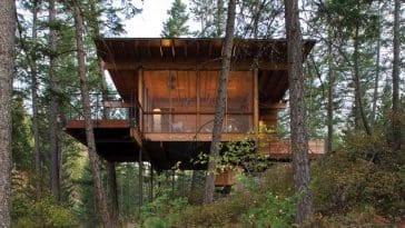 flathead lake cabin 1