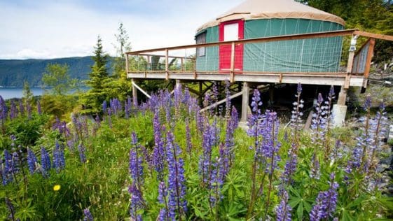 tatoosh yurt 1