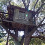 burlingame treehouse 1