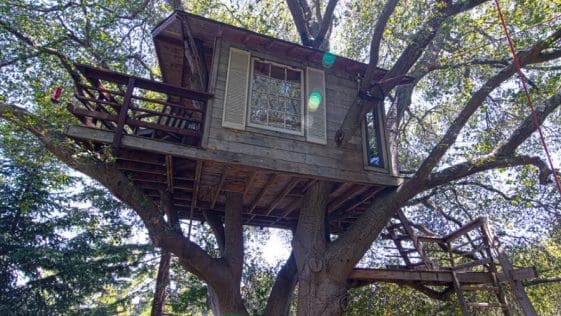 burlingame treehouse 1