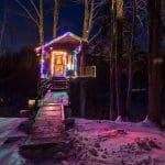 tiny fern forest treehouse