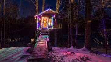 tiny fern forest treehouse