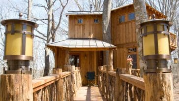abington treehouse 1