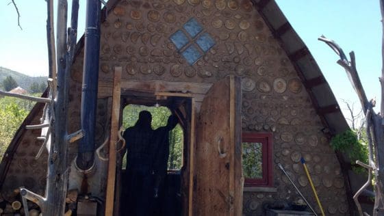 bear hermitage 1a