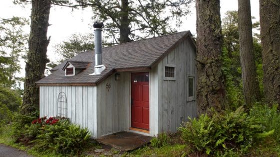 one tree home 1