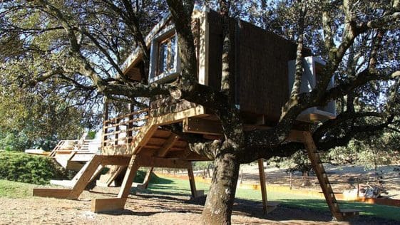 rooted treehouse 1