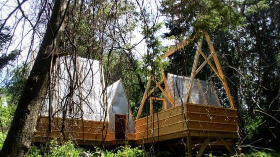 swamp hut 1